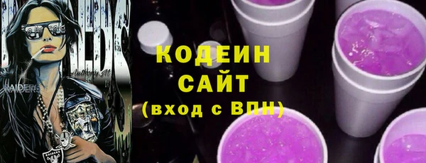 молекула духа Козельск
