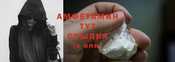 молекула духа Козельск
