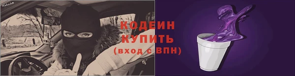 молекула духа Козельск