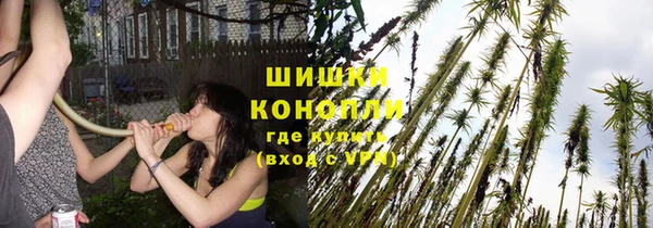 соль ск Козловка