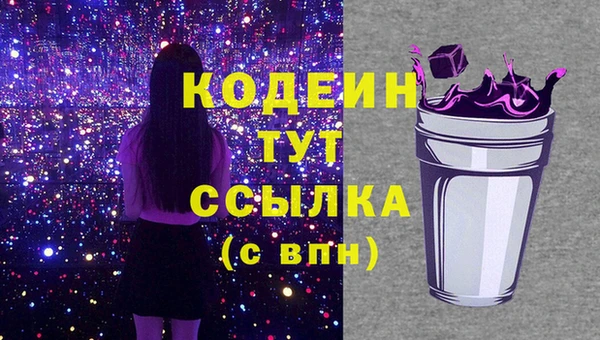 соль ск Козловка