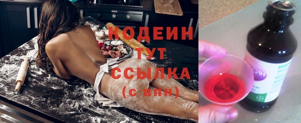соль ск Козловка