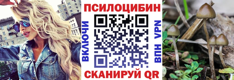 Галлюциногенные грибы Magic Shrooms  Кировград 