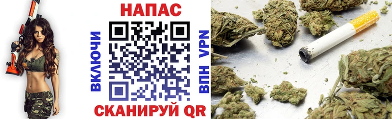 Канабис OG Kush  Кировград 